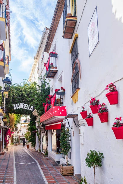 Vitkalkad gata med röda blomkrukor i Marbella